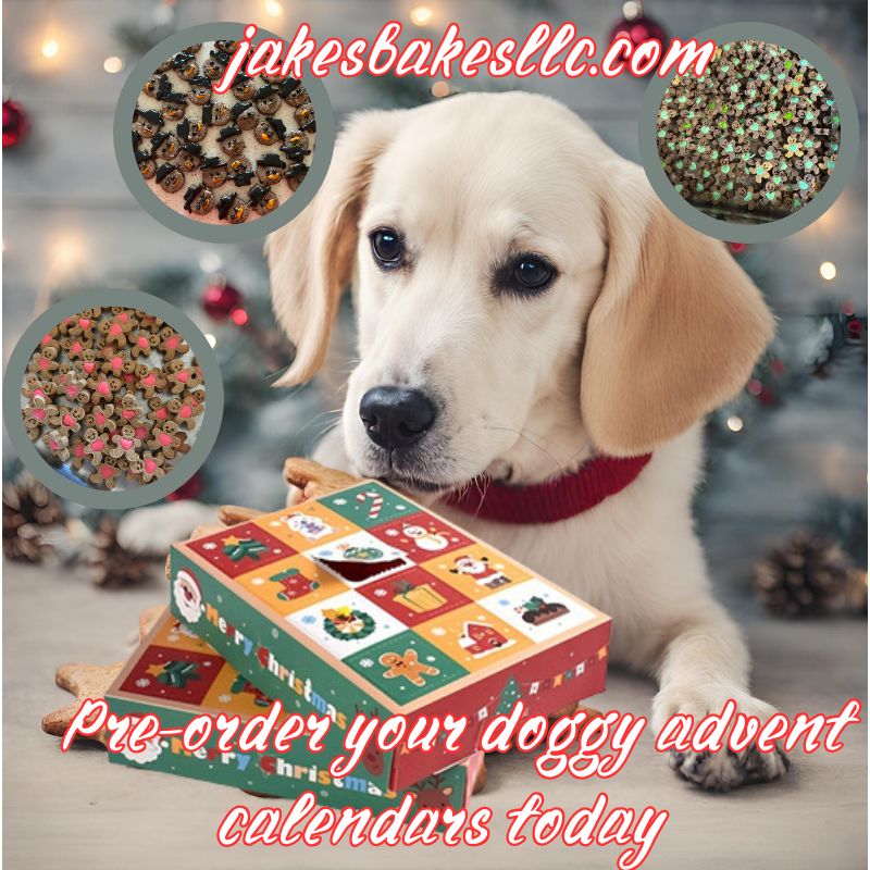 12 day Doggie Advent Calendar